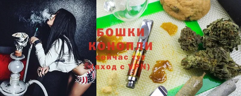 Конопля SATIVA & INDICA  закладка  Лукоянов 